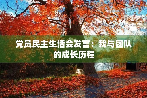 党员民主生活会发言:我与团队的成长历程 党员民主生活会发言:我与团队的成长历程