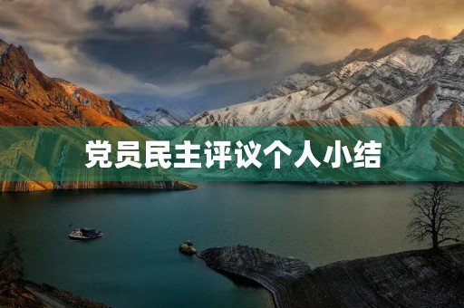 党员民主评议个人小结