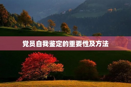 党员自我鉴定的重要性及方法