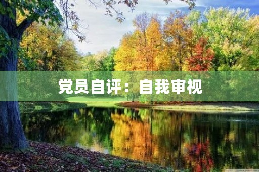 党员自评：自我审视，不断前行
