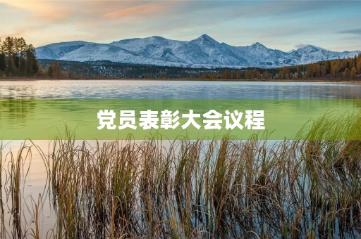 党员表彰大会议程