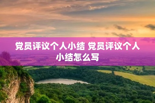 党员评议个人小结 党员评议个人小结怎么写