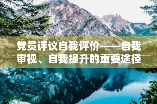 党员评议自我评价——自我审视、自我提升的重要途径