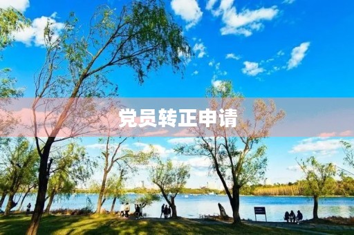 党员转正申请，党支部意见