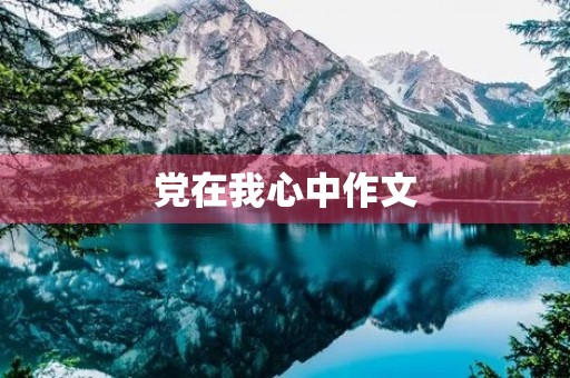 党在我心中作文