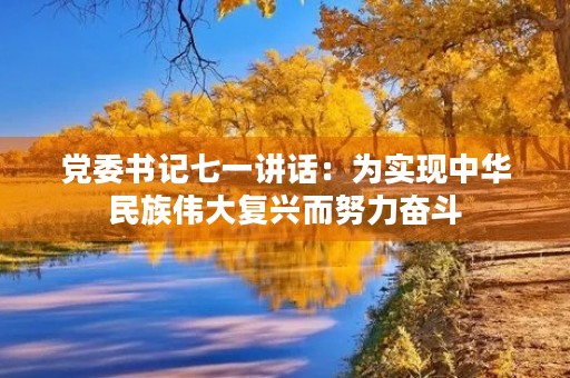 党委书记七一讲话：为实现中华民族伟大复兴而努力奋斗