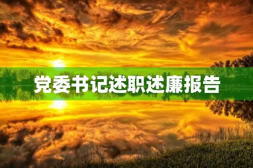 党委书记述职述廉报告