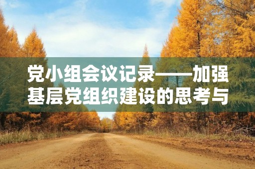 党小组会议记录——加强基层党组织建设的思考与探讨