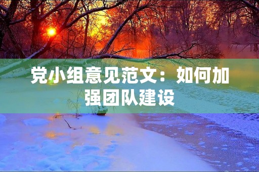 党小组意见范文：如何加强团队建设