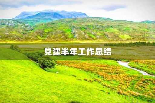 党建半年工作总结(党建工作半年总结) 党建半年工作总结(党建工作半年总结)