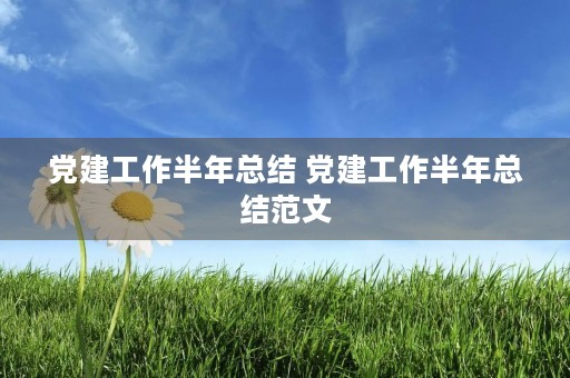 党建工作半年总结 党建工作半年总结范文
