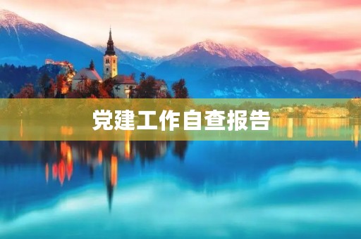 党建工作自查报告(党建自查和整改情况报告) 党建工作自查报告(党建自查和整改情况报告)