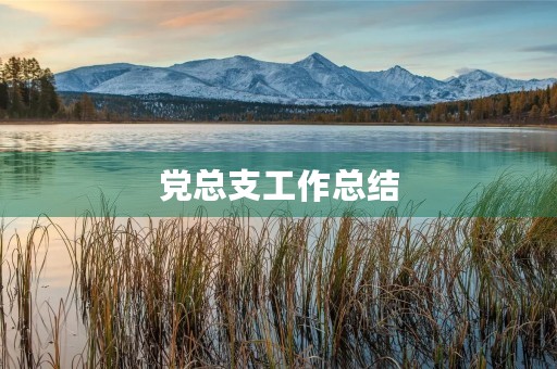 党总支工作总结(党支部党建工作的重要意义)