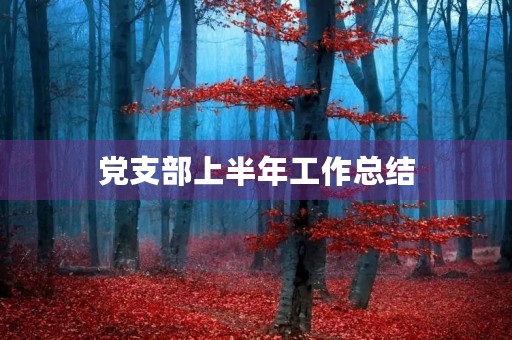 党支部上半年工作总结