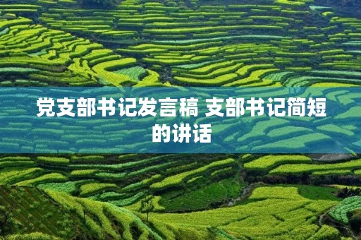 党支部书记发言稿 支部书记简短的讲话 党支部书记发言稿 支部书记简短的讲话