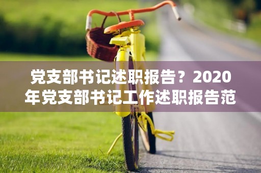 党支部书记述职报告？2020年党支部书记工作述职报告范文