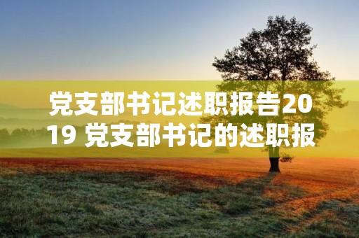 党支部书记述职报告2019 党支部书记的述职报告怎样写