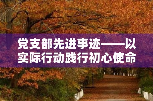 党支部先进事迹——以实际行动践行初心使命 党支部先进事迹——以实际行动践行初心使命