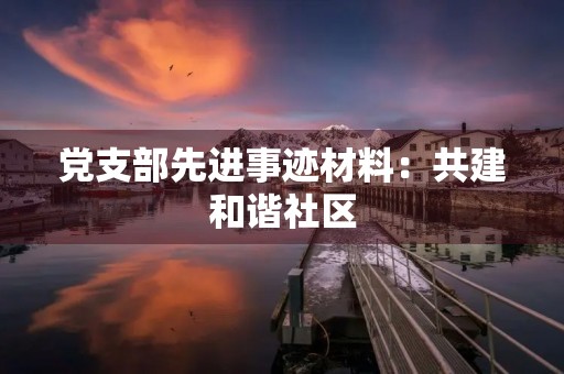 党支部先进事迹材料：共建和谐社区，为民服务