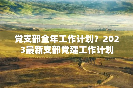 党支部全年工作计划？2023最新支部党建工作计划