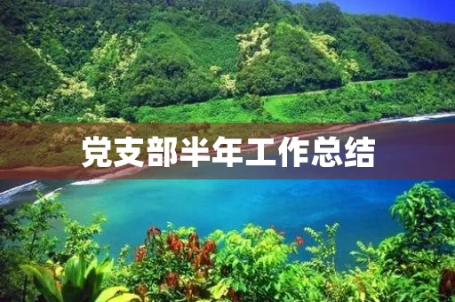党支部半年工作总结,党建工作半年总结 党支部半年工作总结,党建工作半年总结