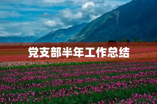 党支部半年工作总结