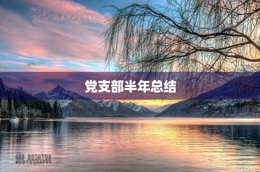 党支部半年总结 党支部半年总结