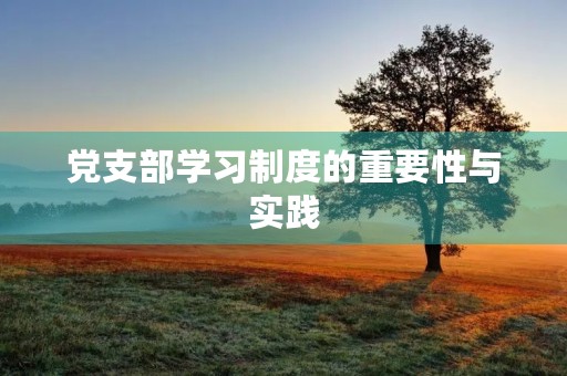 党支部学习制度的重要性与实践
