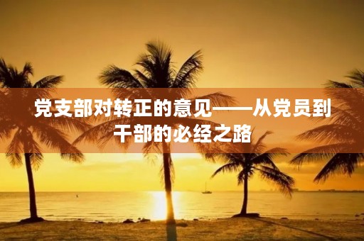 党支部对转正的意见——从党员到干部的必经之路 党支部对转正的意见——从党员到干部的必经之路