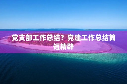 党支部工作总结?党建工作总结简短精辟