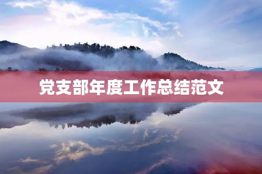 党支部年度工作总结范文
