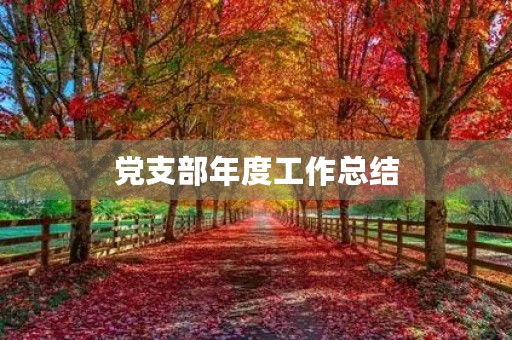 党支部年度工作总结