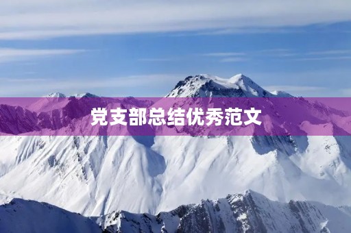 党支部总结优秀范文
