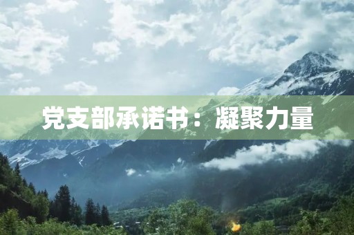 党支部承诺书：凝聚力量，共同前行