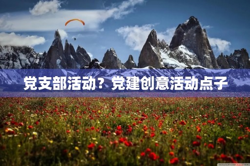 党支部活动?党建创意活动点子 党支部活动?党建创意活动点子
