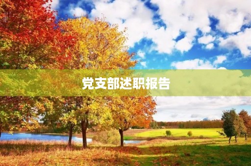 党支部述职报告,2023年党建述职报告最新消息