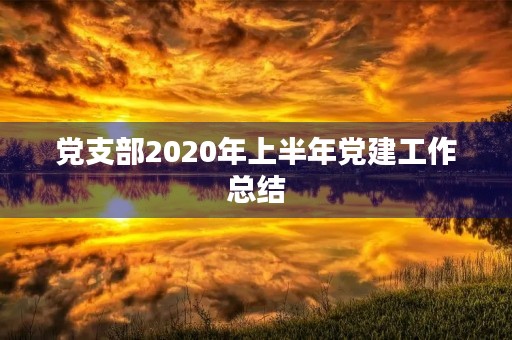 党支部2020年上半年党建工作总结