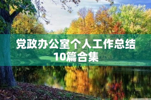 党政办公室个人工作总结10篇合集