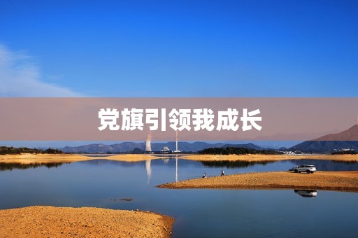 党旗引领我成长