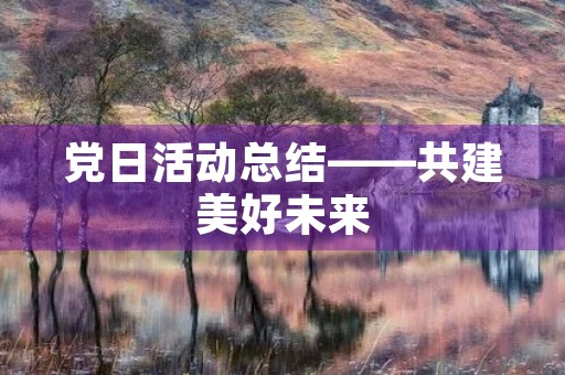 党日活动总结——共建美好未来
