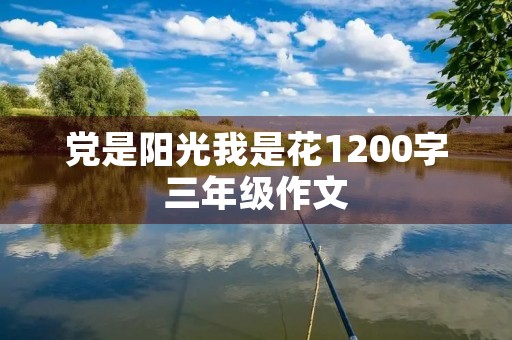 党是阳光我是花1200字三年级作文