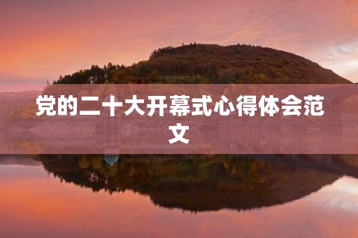 党的二十大开幕式心得体会范文