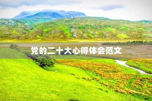 党的二十大心得体会范文 党的二十大心得体会范文