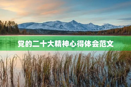 党的二十大精神心得体会范文