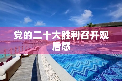 党的二十大胜利召开观后感