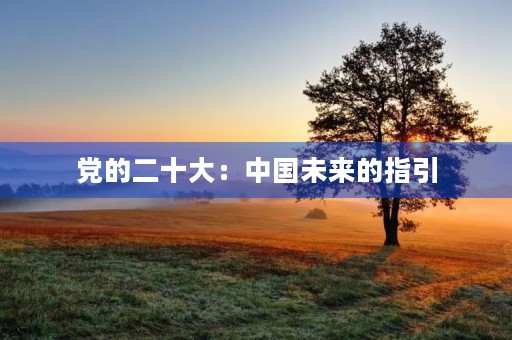党的二十大:中国未来的指引 党的二十大:中国未来的指引