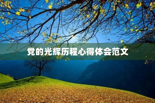 党的光辉历程心得体会范文
