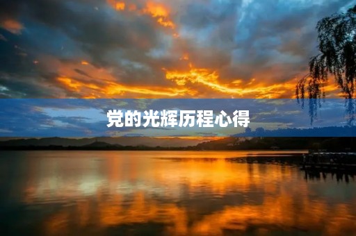 党的光辉历程心得，回顾党的百年光辉历程你有哪些体会