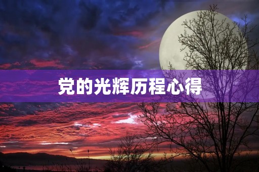 党的光辉历程心得 党的光辉历程心得
