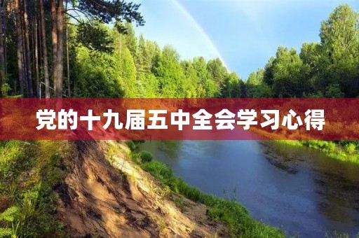 党的十九届五中全会学习心得